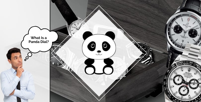 What Is a Panda Dial Watch? - featured image